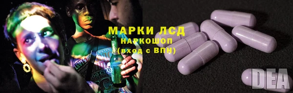 ПСИЛОЦИБИНОВЫЕ ГРИБЫ Бородино