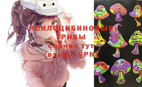 ПСИЛОЦИБИНОВЫЕ ГРИБЫ Бородино