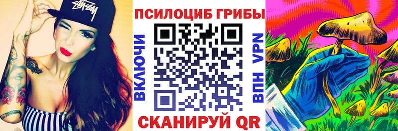 Галлюциногенные грибы Psilocybe дарнет шоп Губкинский
